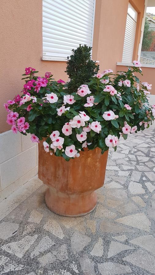 Hotel Apartman Jukic Marina Exterior foto